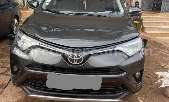 Buy Used Toyota RAV4 Other Car in Yaounde in Central Cameroon