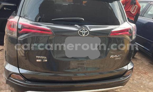 Buy Used Toyota RAV4 Other Car in Yaounde in Central Cameroon Buy Used Toyota RAV4 Other Car in Yaounde in Central Cameroon
