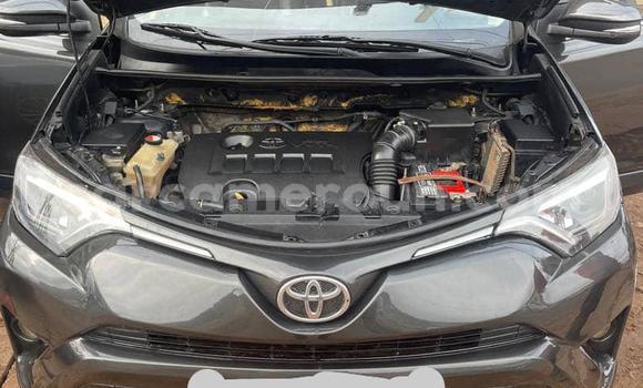 Buy Used Toyota RAV4 Other Car in Yaounde in Central Cameroon Buy Used Toyota RAV4 Other Car in Yaounde in Central Cameroon
