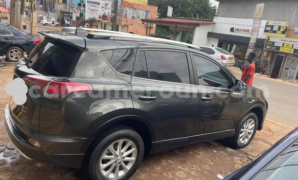 Buy Used Toyota RAV4 Other Car in Yaounde in Central Cameroon Buy Used Toyota RAV4 Other Car in Yaounde in Central Cameroon
