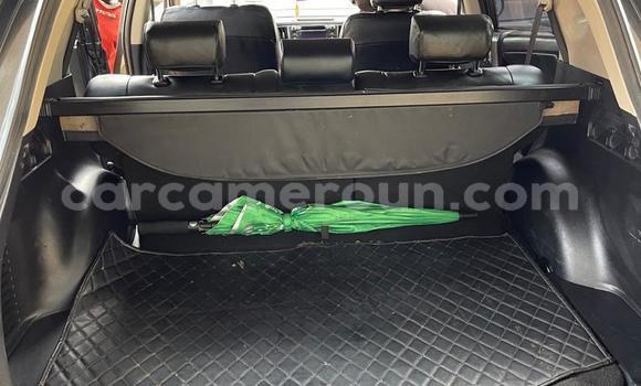 Buy Used Toyota RAV4 Other Car in Yaounde in Central Cameroon Buy Used Toyota RAV4 Other Car in Yaounde in Central Cameroon