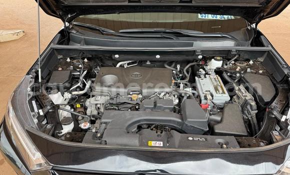 Buy Used Toyota RAV4 Black Car in Yaounde in Central Cameroon Buy Used Toyota RAV4 Black Car in Yaounde in Central Cameroon