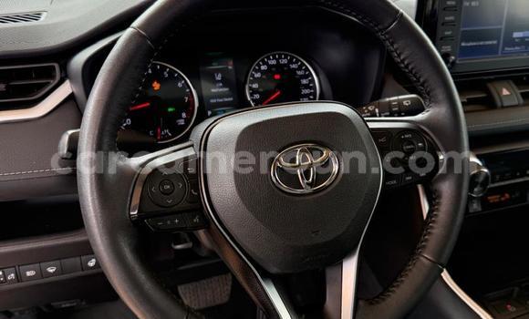 Buy Used Toyota RAV4 Black Car in Yaounde in Central Cameroon Buy Used Toyota RAV4 Black Car in Yaounde in Central Cameroon