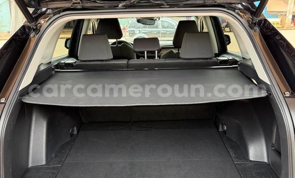 Buy Used Toyota RAV4 Black Car in Yaounde in Central Cameroon Buy Used Toyota RAV4 Black Car in Yaounde in Central Cameroon