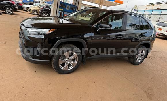 Buy Used Toyota RAV4 Black Car in Yaounde in Central Cameroon Buy Used Toyota RAV4 Black Car in Yaounde in Central Cameroon