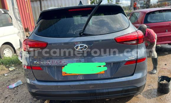 Acheter Occasion Voiture Hyundai Tucson Bleu à Douala, Littoral Cameroon Acheter Occasion Voiture Hyundai Tucson Bleu à Douala, Littoral Cameroon