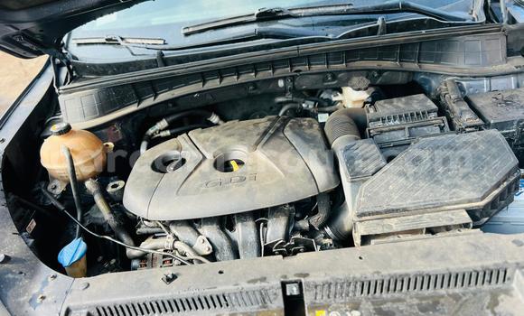 Acheter Occasion Voiture Hyundai Tucson Bleu à Douala, Littoral Cameroon Acheter Occasion Voiture Hyundai Tucson Bleu à Douala, Littoral Cameroon