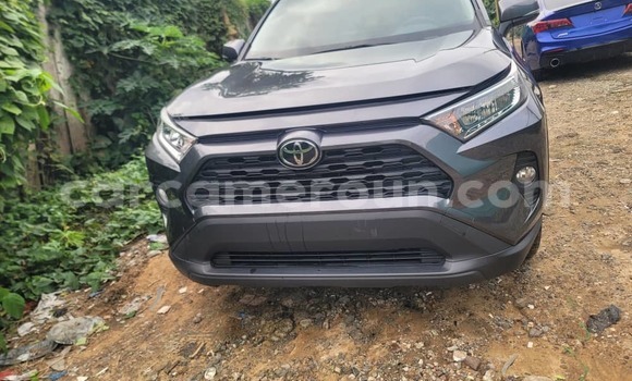 Buy Import Toyota RAV4 Silver Car in Douala in Littoral Cameroon Buy Import Toyota RAV4 Silver Car in Douala in Littoral Cameroon