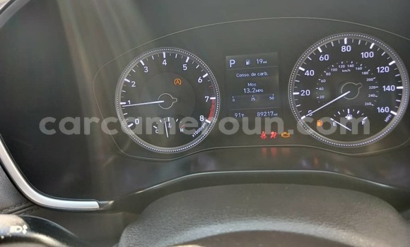 Buy Used Hyundai Santa Fe Silver Car in Douala in Littoral Cameroon