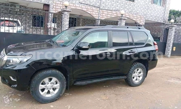Buy Used Toyota Prado Black Car in Douala in Littoral Cameroon Buy Used Toyota Prado Black Car in Douala in Littoral Cameroon