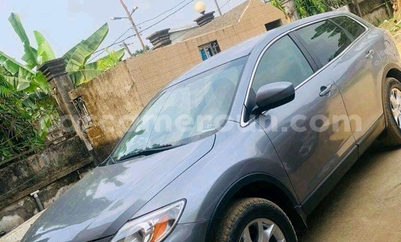 Acheter Import Voiture Mazda CX-9 Gris à Douala, Littoral Cameroon