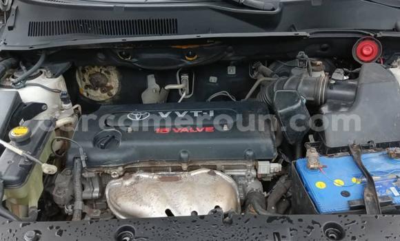 Buy Used Toyota Vanguard White Car in Douala in Littoral Cameroon