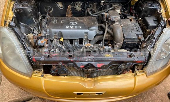 Buy Used Toyota Yaris Other Car in Yaounde in Central Cameroon Buy Used Toyota Yaris Other Car in Yaounde in Central Cameroon