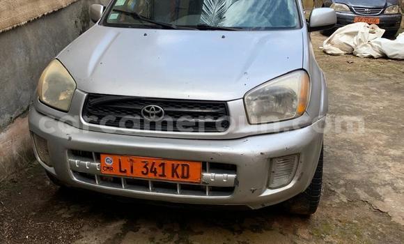 Buy Used Toyota RAV4 Silver Car in Yaounde in Central Cameroon