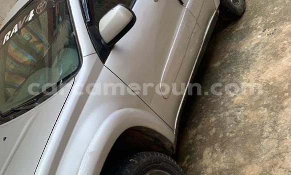 Buy Used Toyota RAV4 Silver Car in Yaounde in Central Cameroon Buy Used Toyota RAV4 Silver Car in Yaounde in Central Cameroon