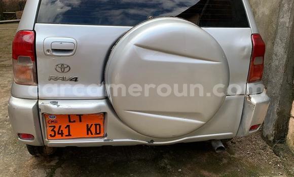 Buy Used Toyota RAV4 Silver Car in Yaounde in Central Cameroon Buy Used Toyota RAV4 Silver Car in Yaounde in Central Cameroon