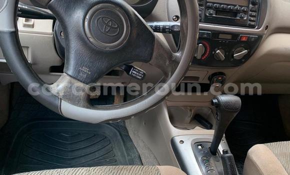 Buy Used Toyota RAV4 Silver Car in Yaounde in Central Cameroon Buy Used Toyota RAV4 Silver Car in Yaounde in Central Cameroon