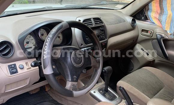 Buy Used Toyota RAV4 Silver Car in Yaounde in Central Cameroon Buy Used Toyota RAV4 Silver Car in Yaounde in Central Cameroon