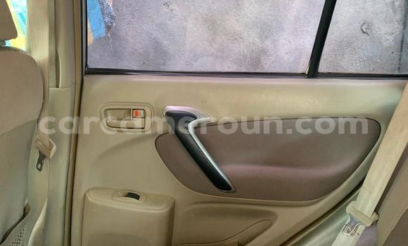 Buy Used Toyota RAV4 Silver Car in Yaounde in Central Cameroon Buy Used Toyota RAV4 Silver Car in Yaounde in Central Cameroon