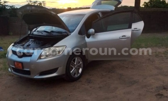 Buy Used Toyota Auris Silver Car in Douala in Littoral Cameroon Buy Used Toyota Auris Silver Car in Douala in Littoral Cameroon