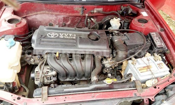 Buy Used Toyota Corolla Red Car in Yaounde in Central Cameroon Buy Used Toyota Corolla Red Car in Yaounde in Central Cameroon