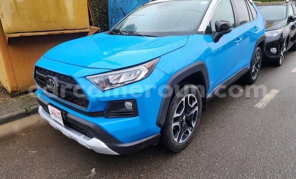 Buy New Toyota RAV4 Other Car in Douala in Littoral Cameroon Buy New Toyota RAV4 Other Car in Douala in Littoral Cameroon