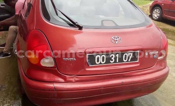 Buy Used Toyota Corolla Red Car in Yaounde in Central Cameroon Buy Used Toyota Corolla Red Car in Yaounde in Central Cameroon