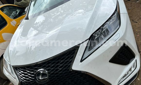 Buy Used Lexus NX Silver Car in Douala in Littoral Cameroon Buy Used Lexus NX Silver Car in Douala in Littoral Cameroon
