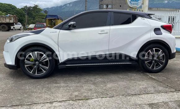 Sayi Na hannu Toyota C-HR White Mota in Douala a Ƙasar Kamaru Sayi Na hannu Toyota C-HR White Mota in Douala a Ƙasar Kamaru