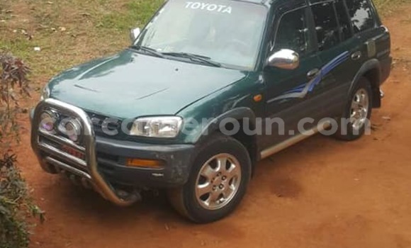 Buy Used Toyota RAV4 Green Car in Yaounde in Central Cameroon Buy Used Toyota RAV4 Green Car in Yaounde in Central Cameroon