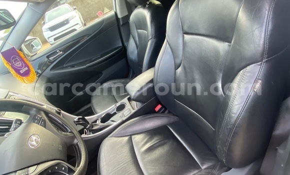 Acheter Import Voiture Hyundai Sonata Gris à Douala, Littoral Cameroon Acheter Import Voiture Hyundai Sonata Gris à Douala, Littoral Cameroon