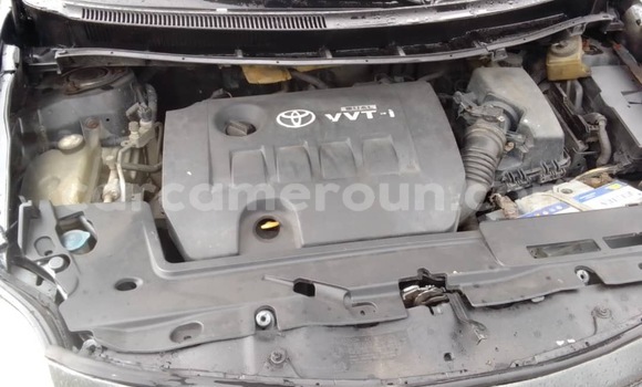 Sayi Na hannu Toyota Auris Sauran Mota in Douala a Ƙasar Kamaru Sayi Na hannu Toyota Auris Sauran Mota in Douala a Ƙasar Kamaru