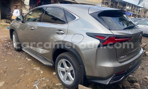 Sayi Sabo Lexus NX Sauran Mota in Douala a Ƙasar Kamaru Sayi Sabo Lexus NX Sauran Mota in Douala a Ƙasar Kamaru