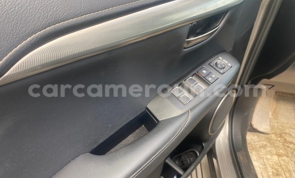 Sayi Sabo Lexus NX Sauran Mota in Douala a Ƙasar Kamaru Sayi Sabo Lexus NX Sauran Mota in Douala a Ƙasar Kamaru