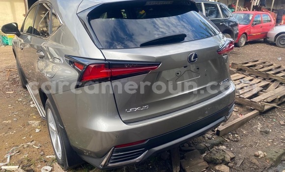 Sayi Sabo Lexus NX Sauran Mota in Douala a Ƙasar Kamaru Sayi Sabo Lexus NX Sauran Mota in Douala a Ƙasar Kamaru
