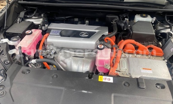 Sayi Sabo Lexus NX Sauran Mota in Douala a Ƙasar Kamaru Sayi Sabo Lexus NX Sauran Mota in Douala a Ƙasar Kamaru