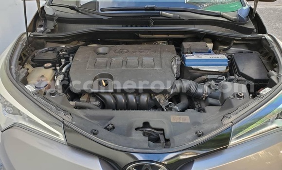 Sayi Sabo Toyota C-HR Sauran Mota in Douala a Ƙasar Kamaru Sayi Sabo Toyota C-HR Sauran Mota in Douala a Ƙasar Kamaru