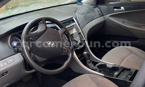 Acheter Import Voiture Hyundai Santa Fe Autre à Douala, Littoral Cameroon Acheter Import Voiture Hyundai Santa Fe Autre à Douala, Littoral Cameroon