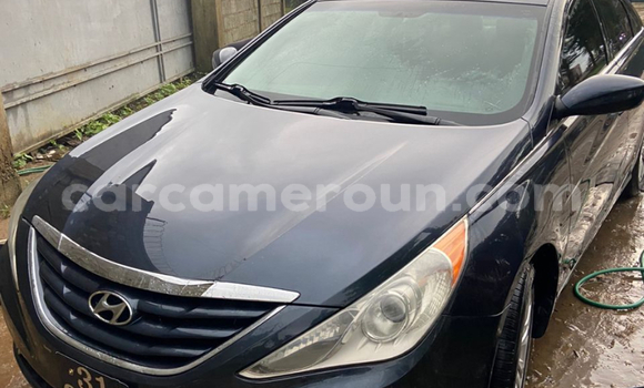 Buy Import Hyundai Sonata Other Car in Douala in Littoral Cameroon