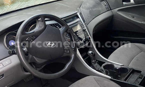Acheter Import Voiture Hyundai Sonata Autre à Douala, Littoral Cameroon Acheter Import Voiture Hyundai Sonata Autre à Douala, Littoral Cameroon