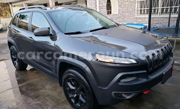 Acheter Import Voiture Jeep Cherokee Gris à Douala, Littoral Cameroon