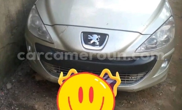 Acheter Occasion Voiture Peugeot 306 Gris à Douala, Littoral Cameroon