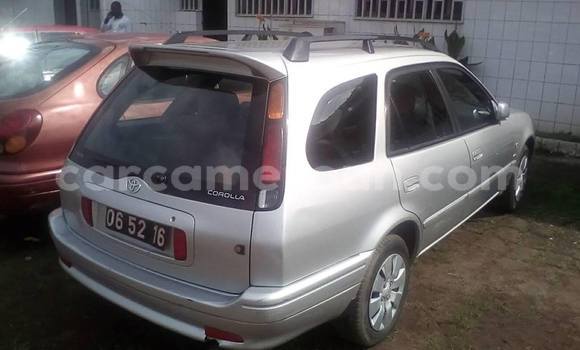 Sayi Na hannu Toyota Corolla Azurfa Mota in Douala a Ƙasar Kamaru Sayi Na hannu Toyota Corolla Azurfa Mota in Douala a Ƙasar Kamaru