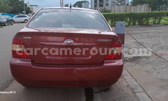 Sayi Sabo Toyota Corolla Sauran Mota in Yaounde a Babban Kamaru