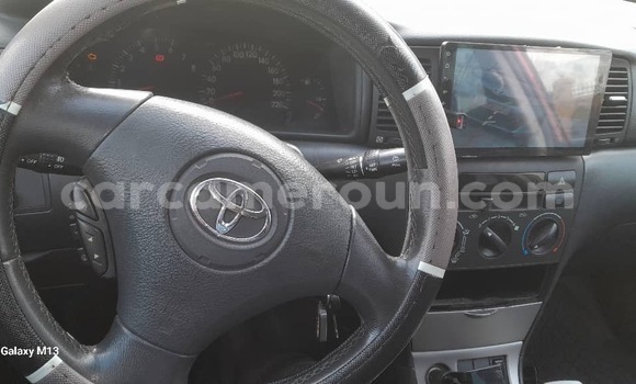 Acheter Neuf Voiture Toyota Corolla Autre à Yaoundé, Central Cameroon Acheter Neuf Voiture Toyota Corolla Autre à Yaoundé, Central Cameroon