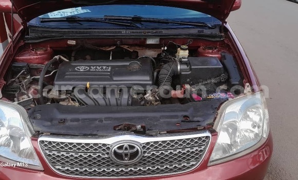 Acheter Neuf Voiture Toyota Corolla Autre à Yaoundé, Central Cameroon Acheter Neuf Voiture Toyota Corolla Autre à Yaoundé, Central Cameroon