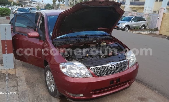 Acheter Neuf Voiture Toyota Corolla Autre à Yaoundé, Central Cameroon Acheter Neuf Voiture Toyota Corolla Autre à Yaoundé, Central Cameroon