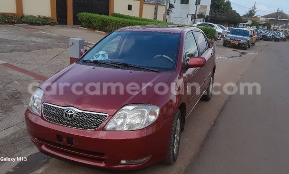 Acheter Neuf Voiture Toyota Corolla Autre à Yaoundé, Central Cameroon Acheter Neuf Voiture Toyota Corolla Autre à Yaoundé, Central Cameroon