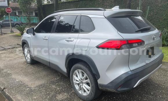 Buy Used Toyota Corolla Cross Silver Car in Douala in Littoral Cameroon Buy Used Toyota Corolla Cross Silver Car in Douala in Littoral Cameroon