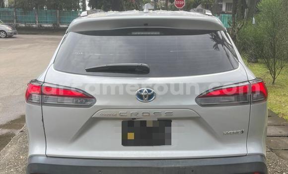 Buy Used Toyota Corolla Cross Silver Car in Douala in Littoral Cameroon Buy Used Toyota Corolla Cross Silver Car in Douala in Littoral Cameroon